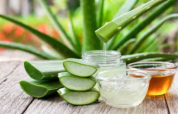 Aloe First: Das Geheimnis erfolgreicher Unabhängiger Distributoren von Forever Living Products